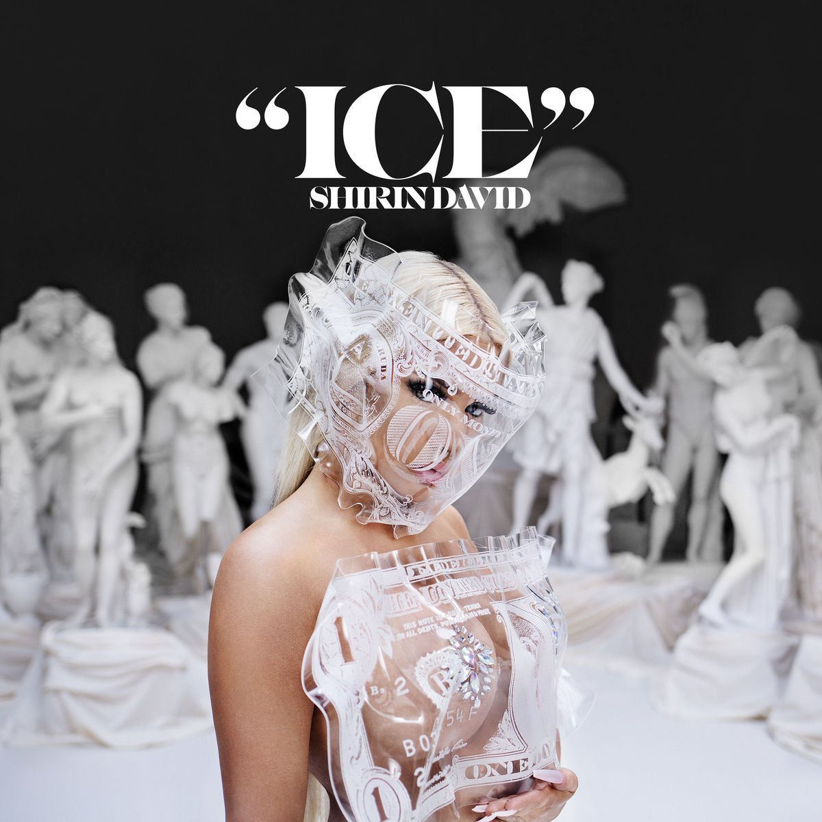 shirin_david-ice_s.jpg