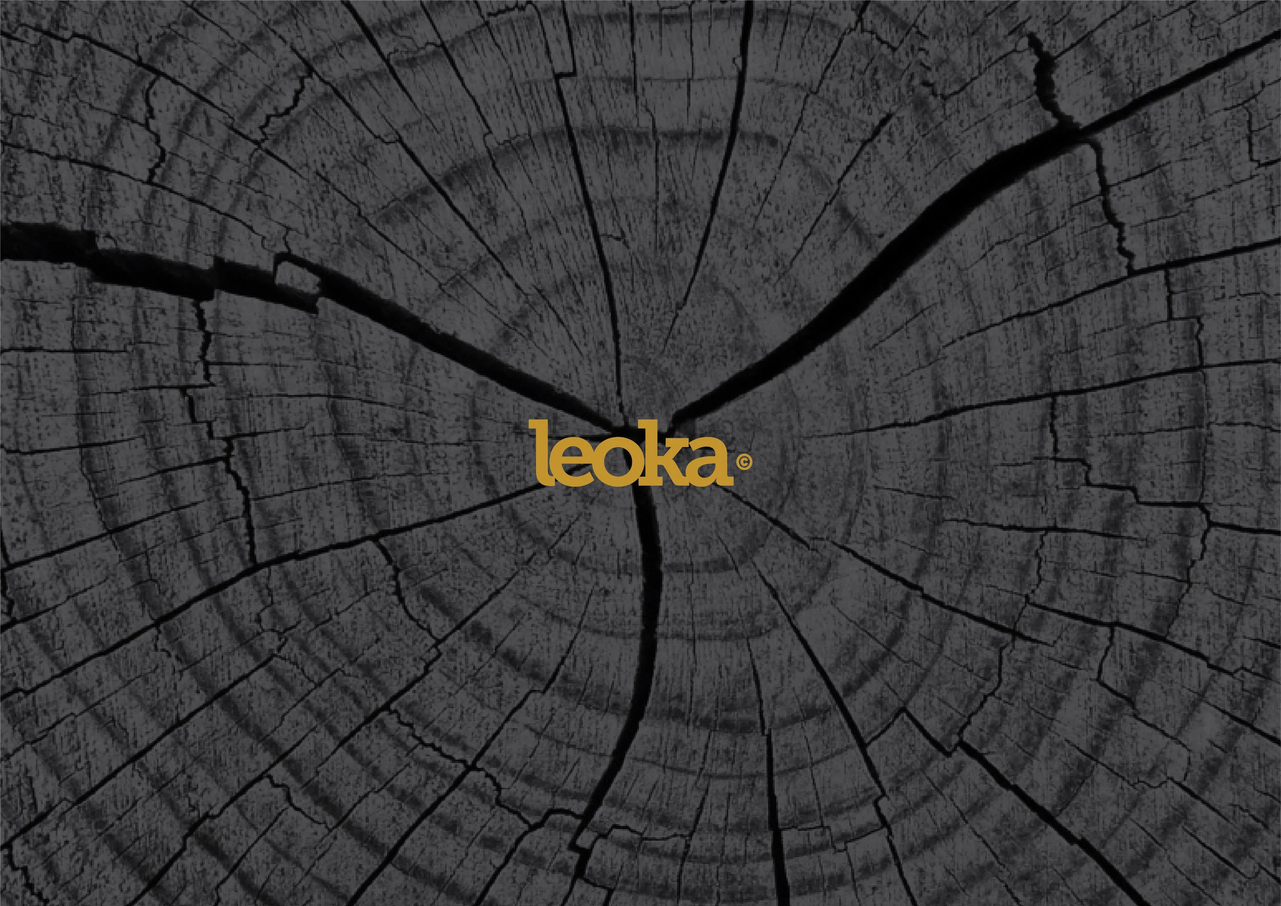 LEOKA-05.jpg