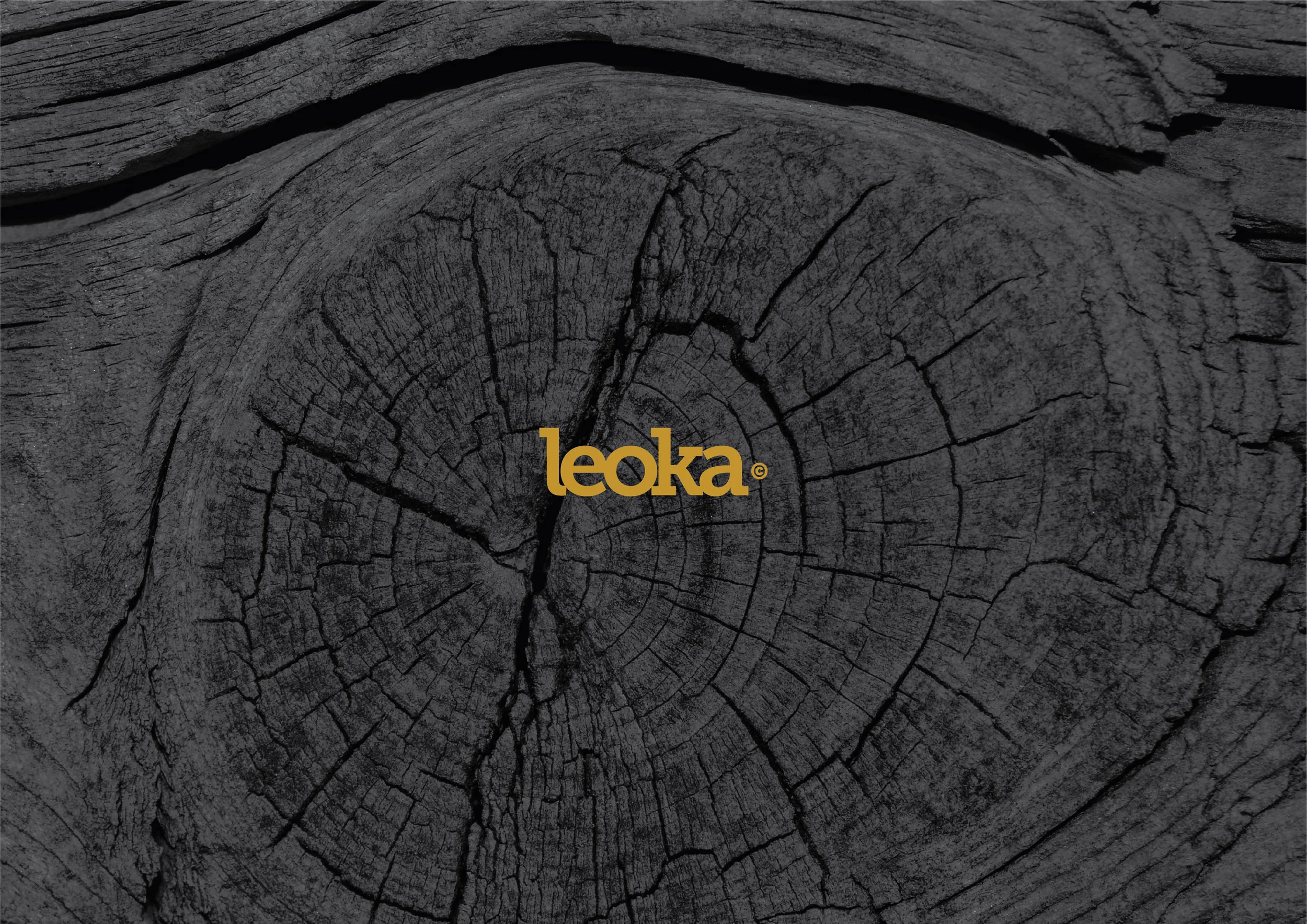LEOKA-06.jpg