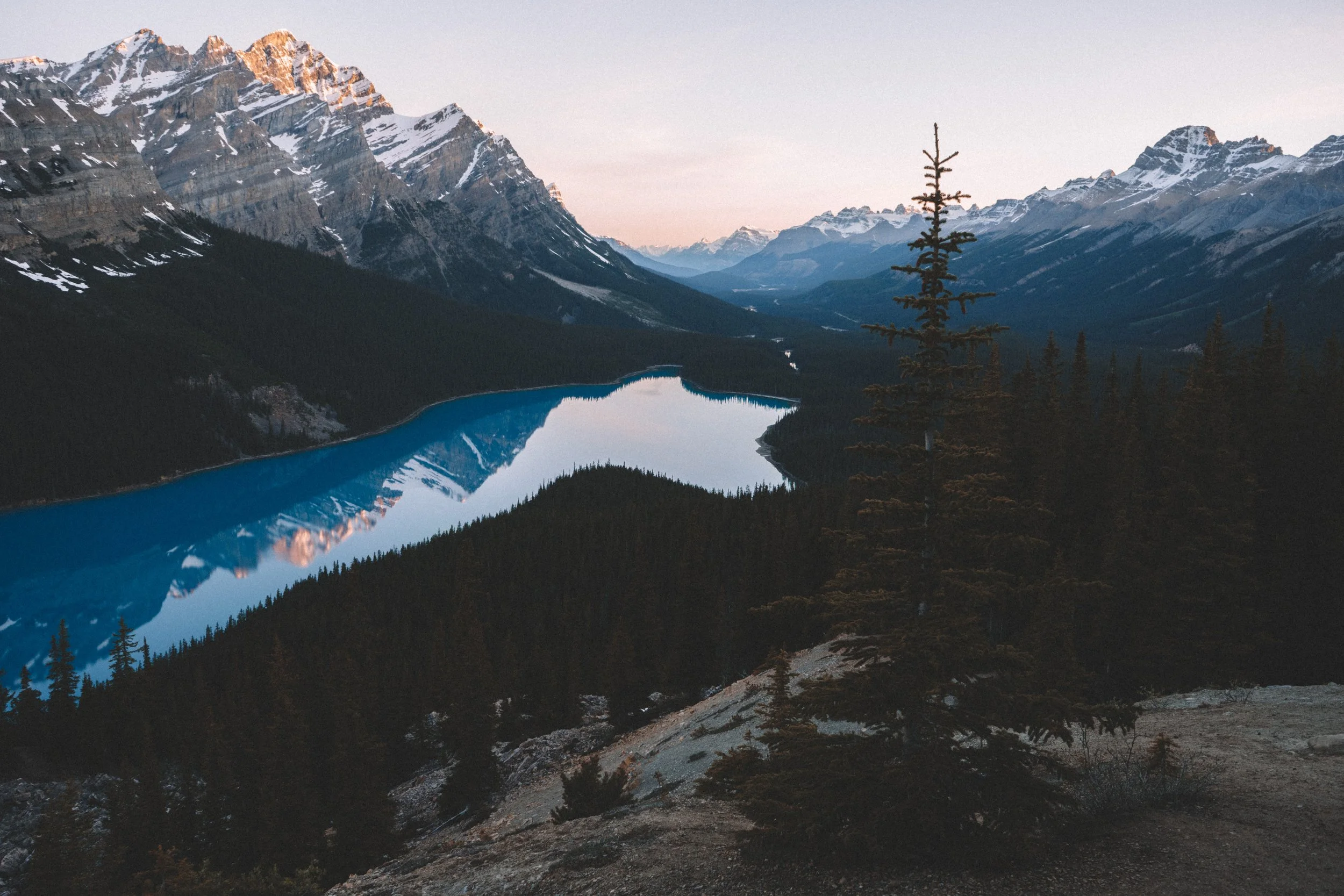 adrian-233457-unsplash.jpg