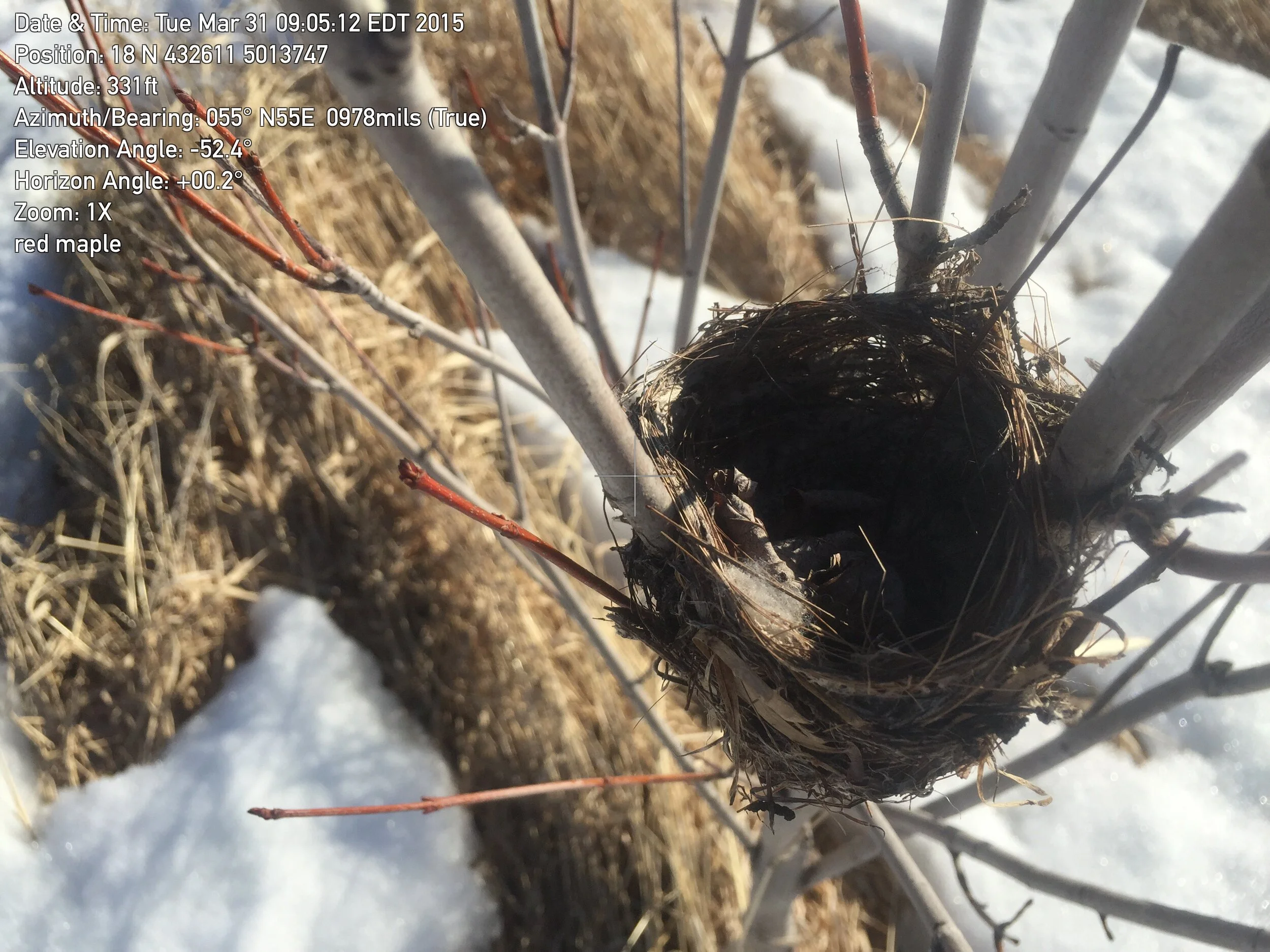 Sensitive timing window for birds and implications for vegetation clearing activities