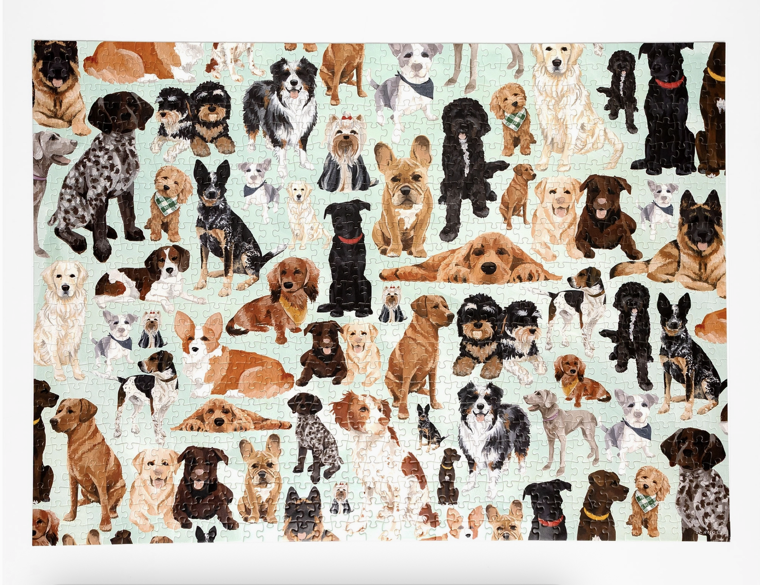 Screenshot 2026-04-12 at 10.46.24 am.png