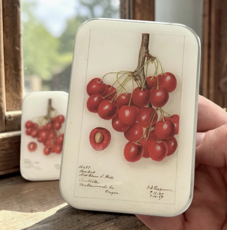 Screenshot 2026-03-13 at 11.45.14 am.png