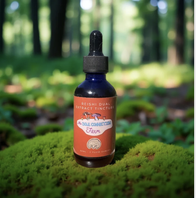 Screenshot 2025-12-10 at 4.41.27 pm.png