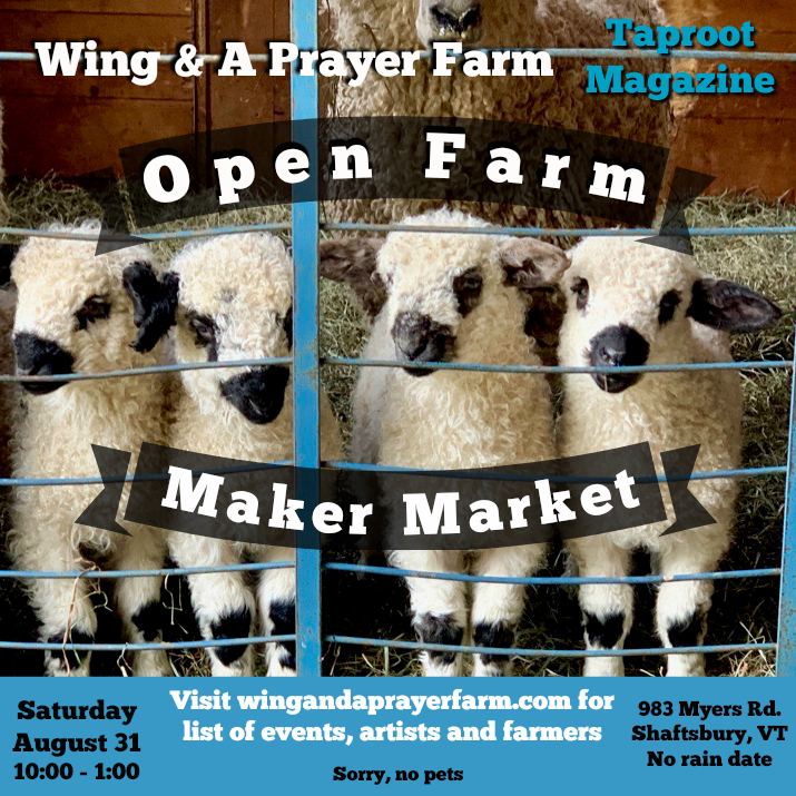 VBS Open Farm.jpg