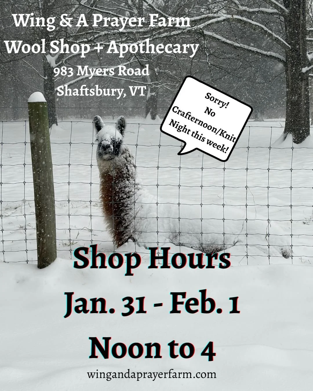Wool Shop + Apothecary January/February 2026
