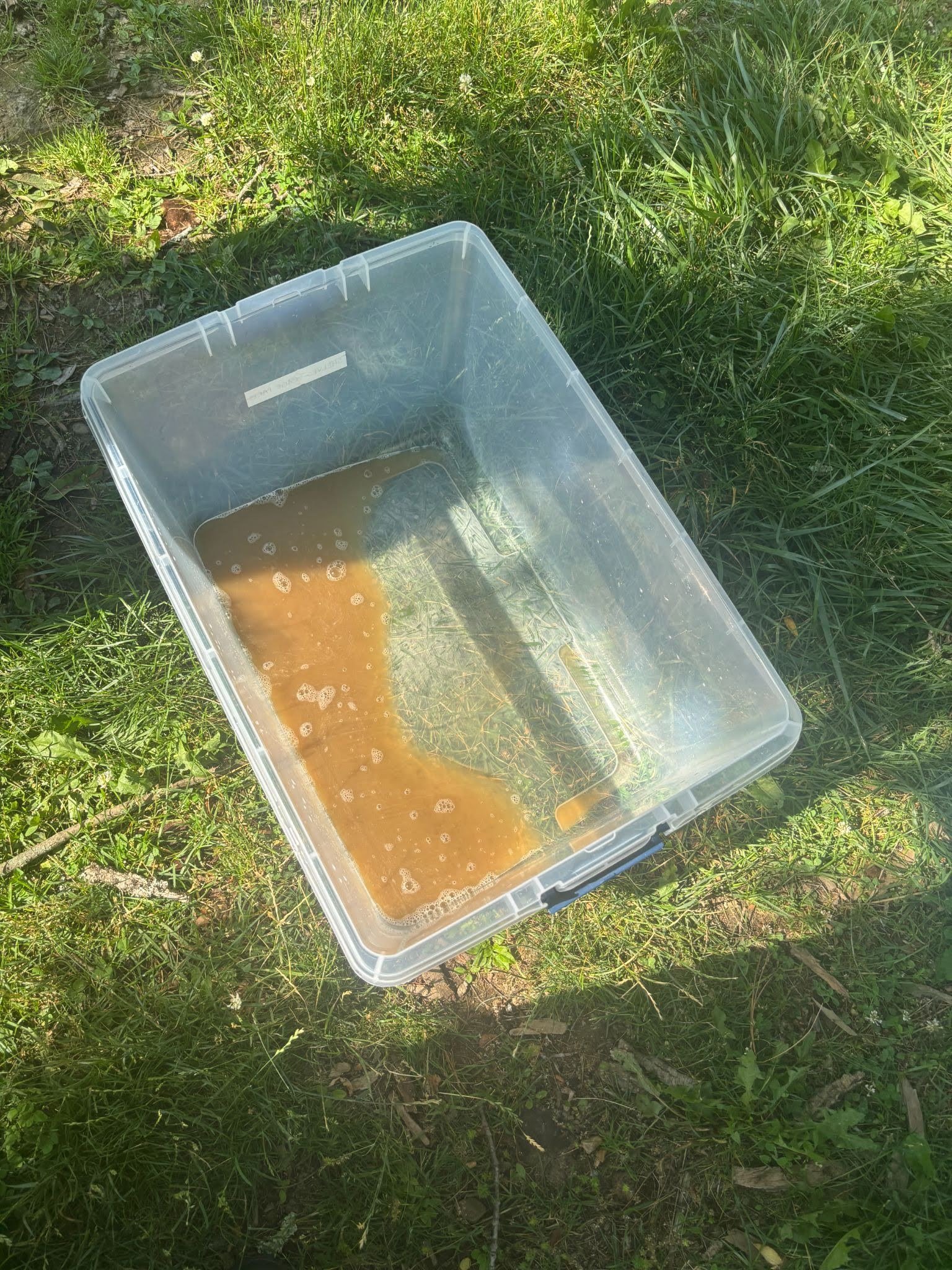 A plastic bin full of dirty water.