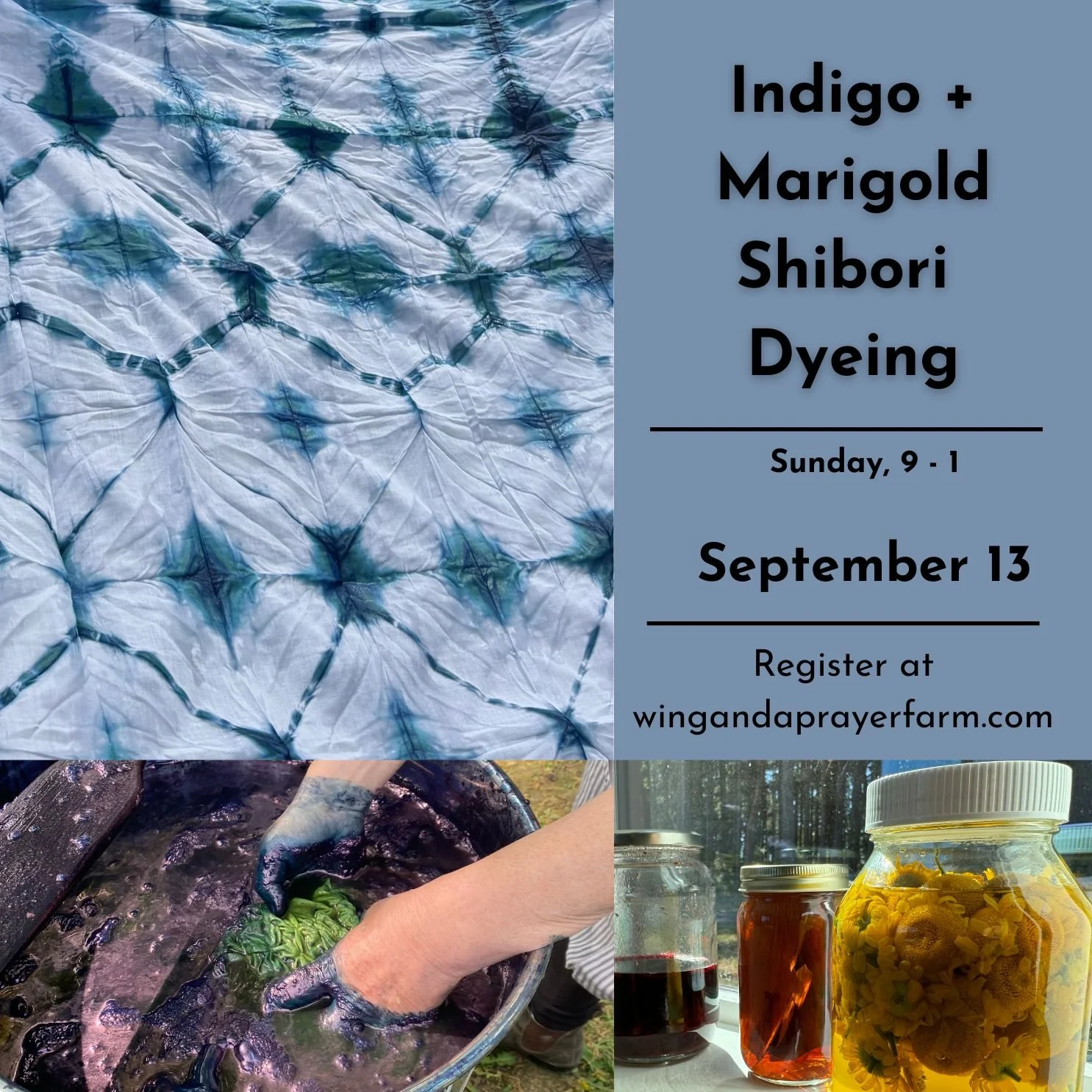 Indigo + Marigold Shibori Workshop September 13