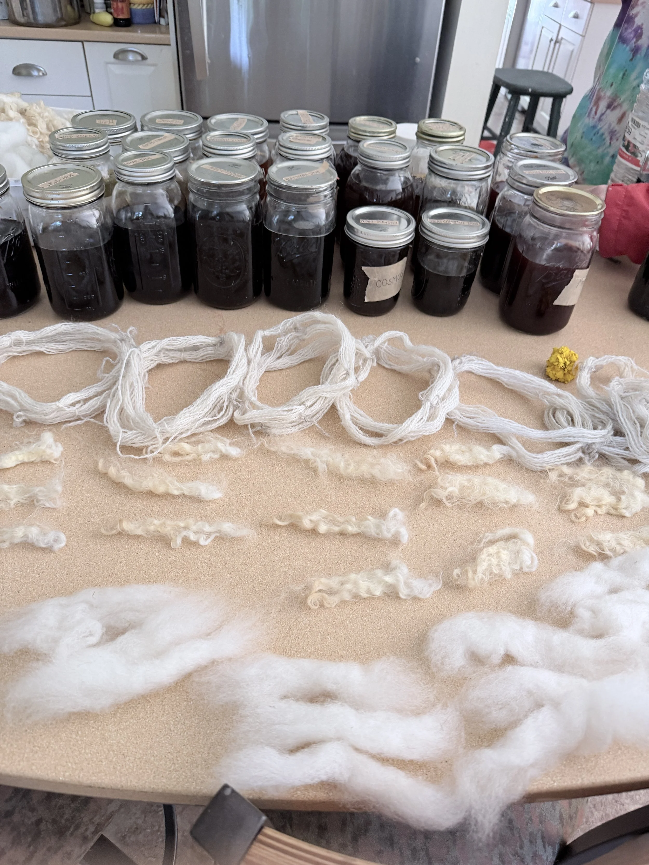 Jars full of dye and fiber samples ready to experiment with.