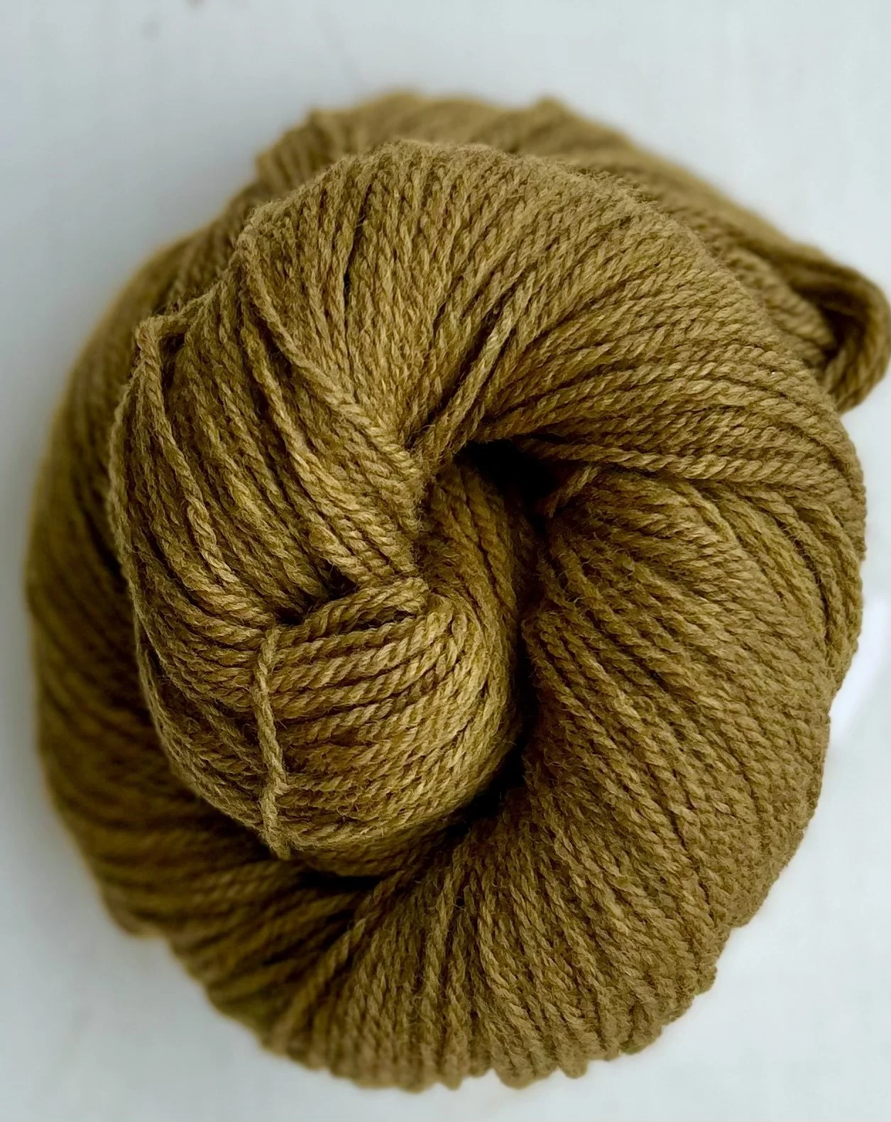 Peter Pan + Fam Worsted 3-ply Cormo Yarn Golden Olive