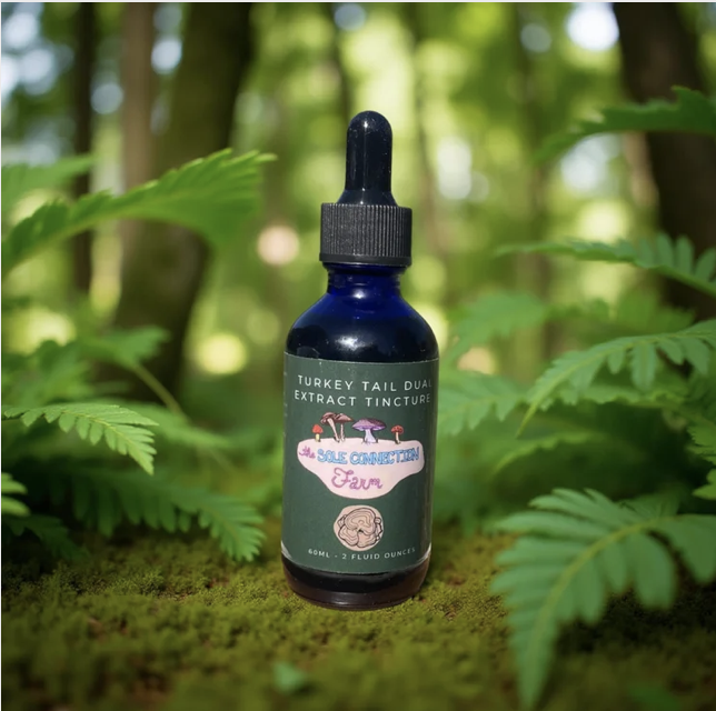 Screenshot 2025-12-10 at 4.41.51 pm.png