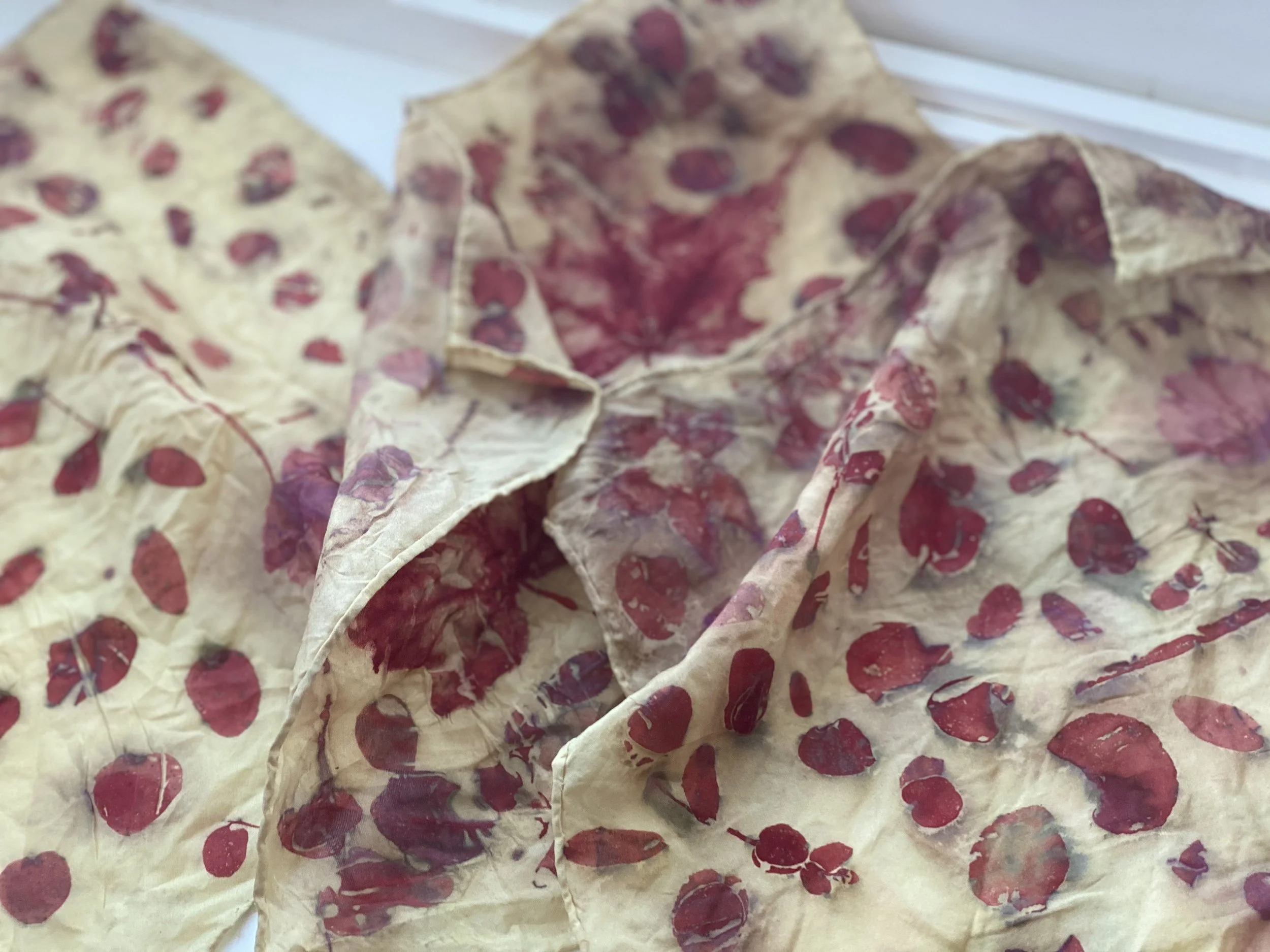 PomegranateSilk.jpg