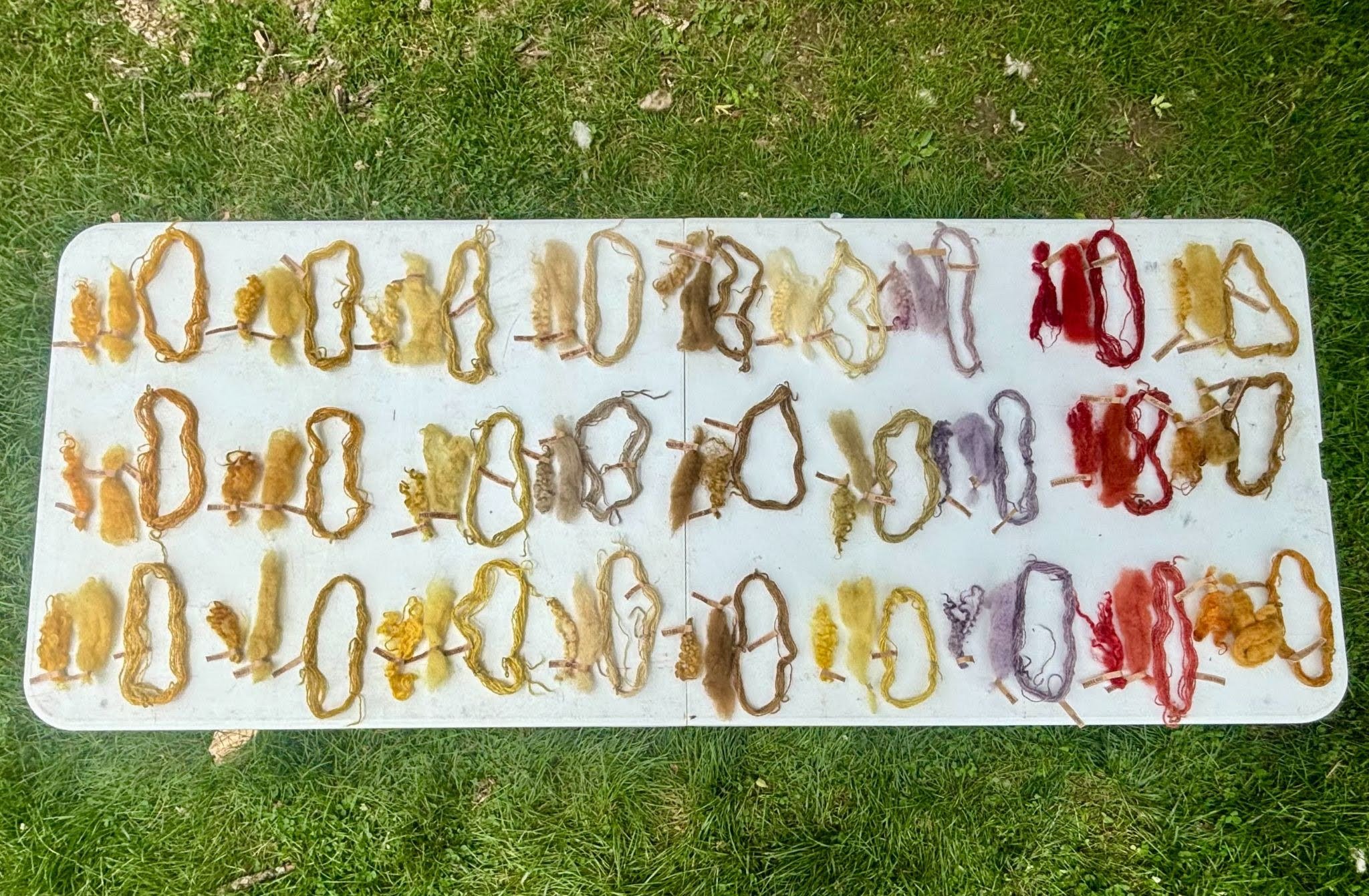 A table covered in fiber samples dyed and arranged in a gradient from yellow to brown to red.