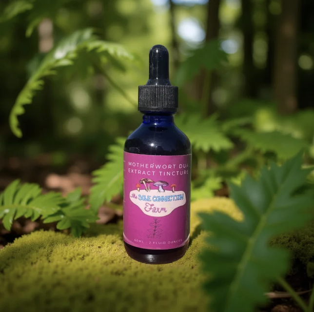 Screenshot 2025-12-10 at 4.40.53 pm.png