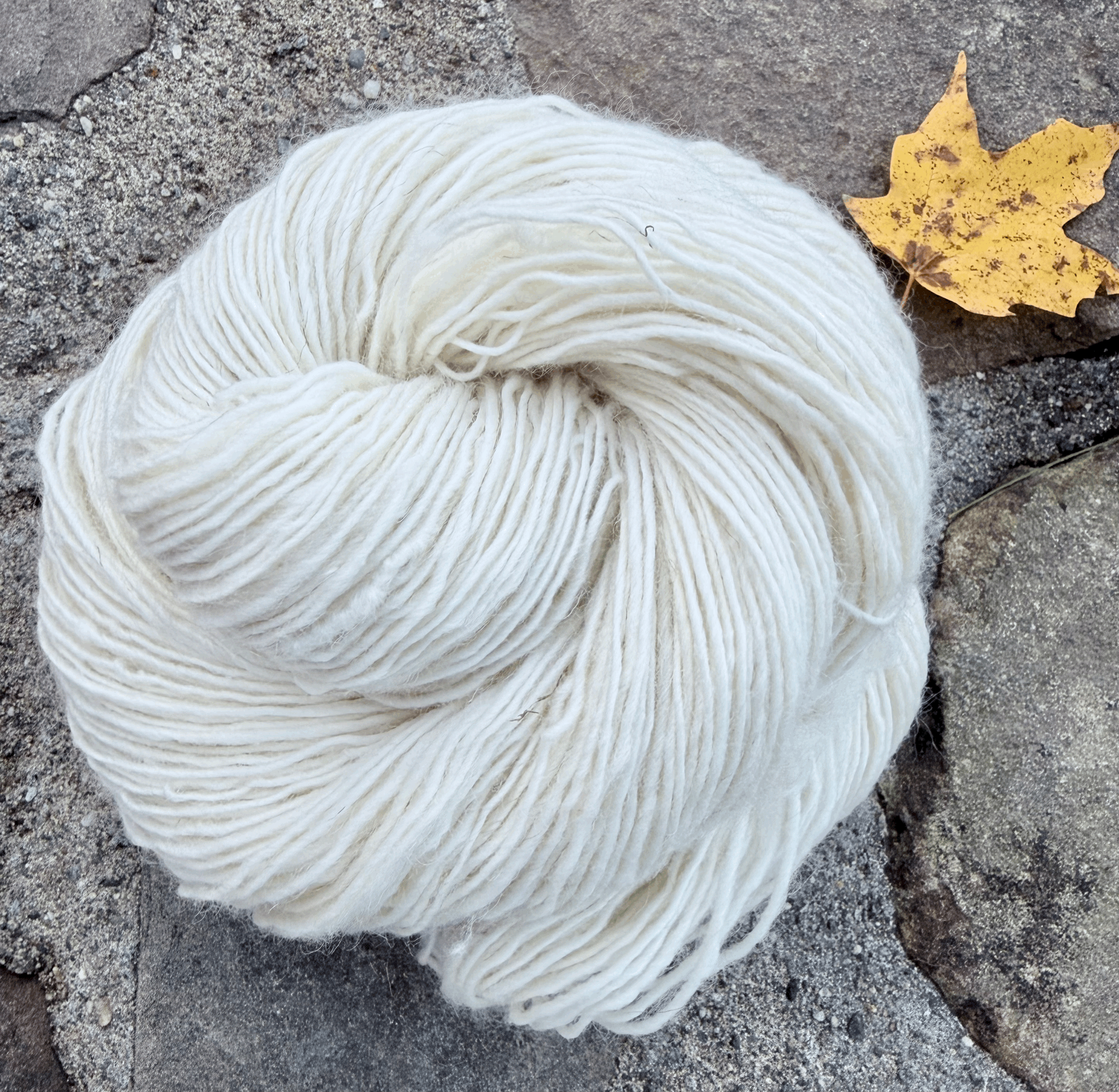 2-ply Worsted Weight Shetland yarn