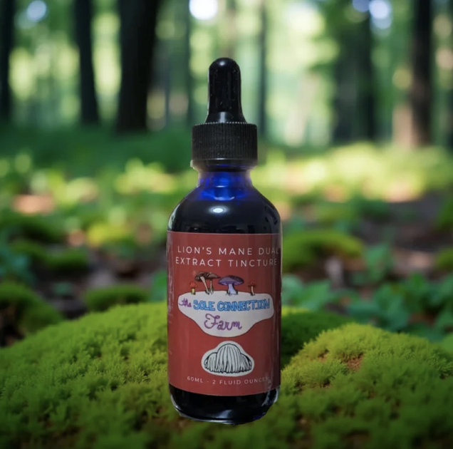 Screenshot 2025-12-10 at 4.41.15 pm.png