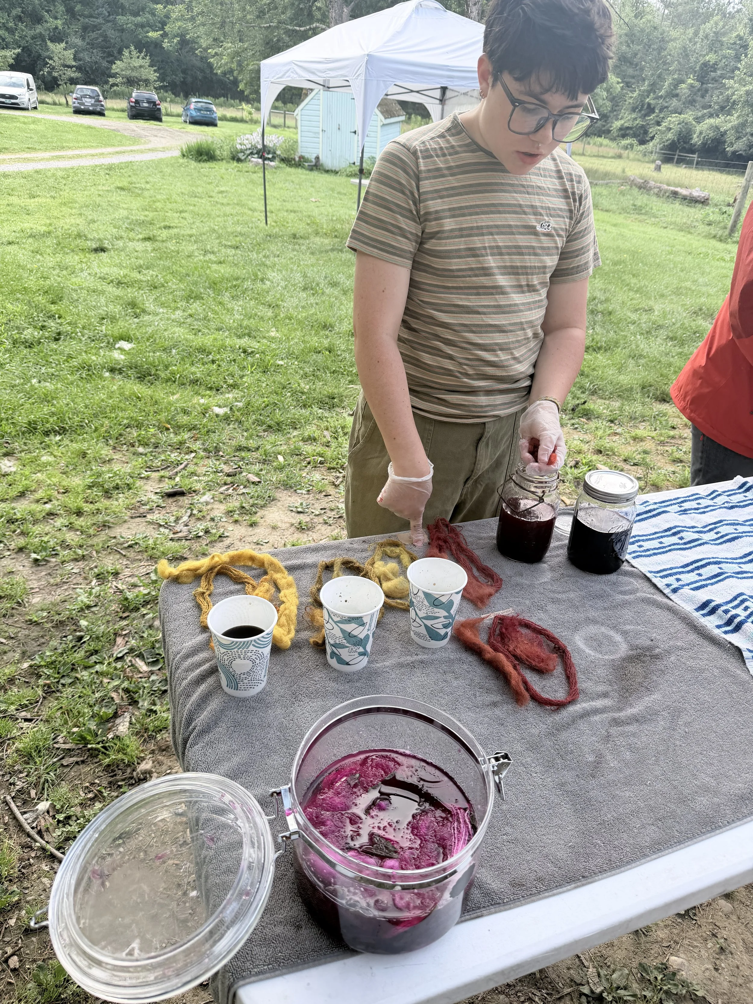 Dyed samples laid out on a towel for labeling.