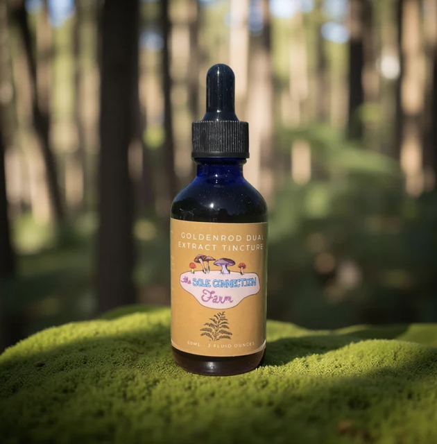 Screenshot 2025-12-10 at 4.40.25 pm.png