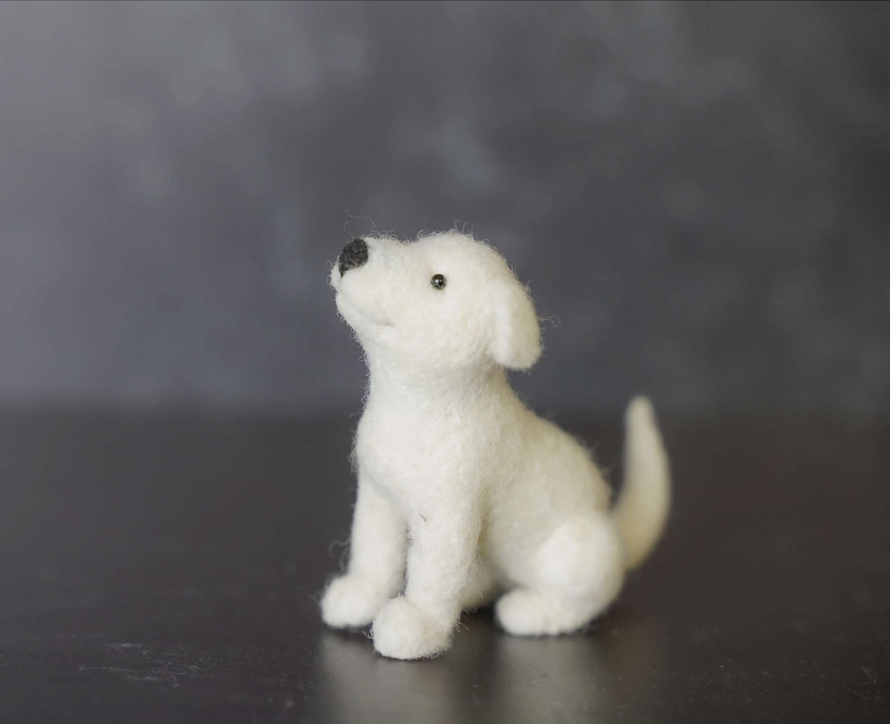 Screenshot 2026-02-24 at 2.35.38 pm.png