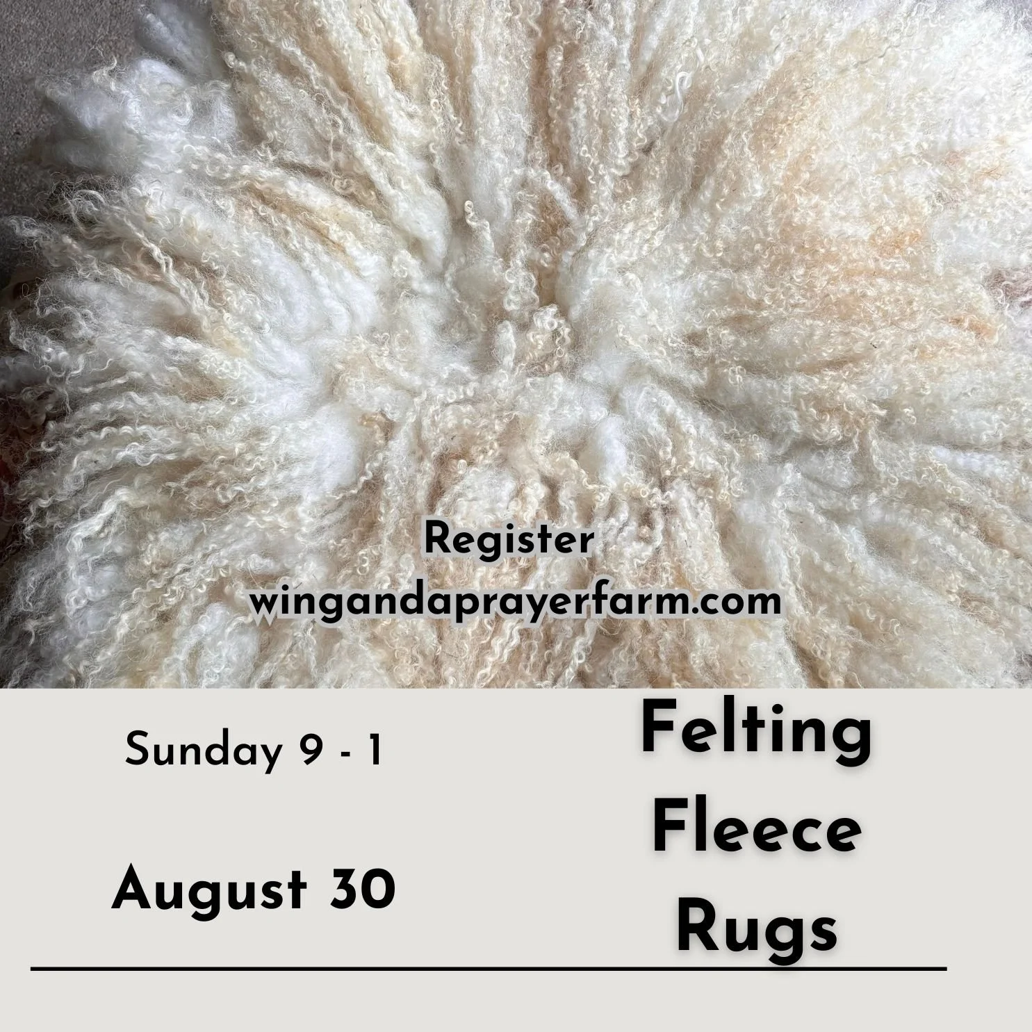 Felting Fleece Rugs Workshop August 30 9 - 1