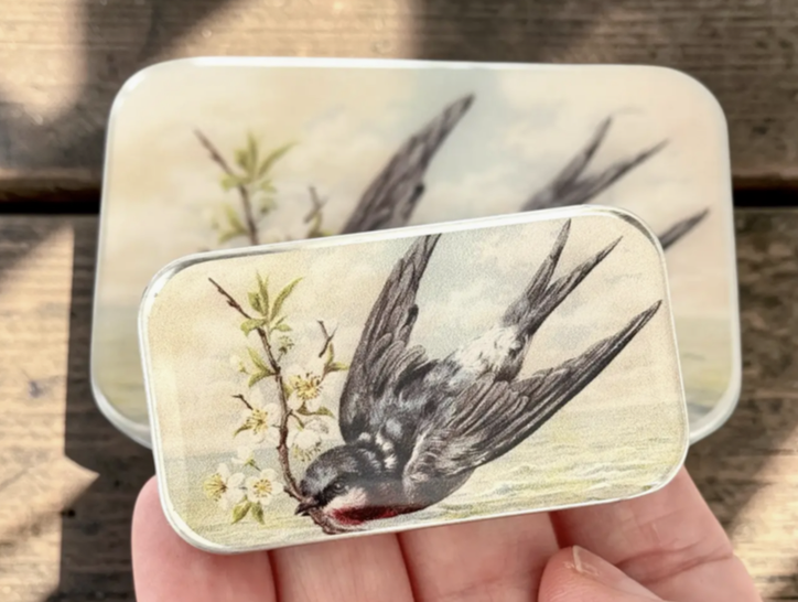 Screenshot 2026-03-13 at 11.48.33 am.png