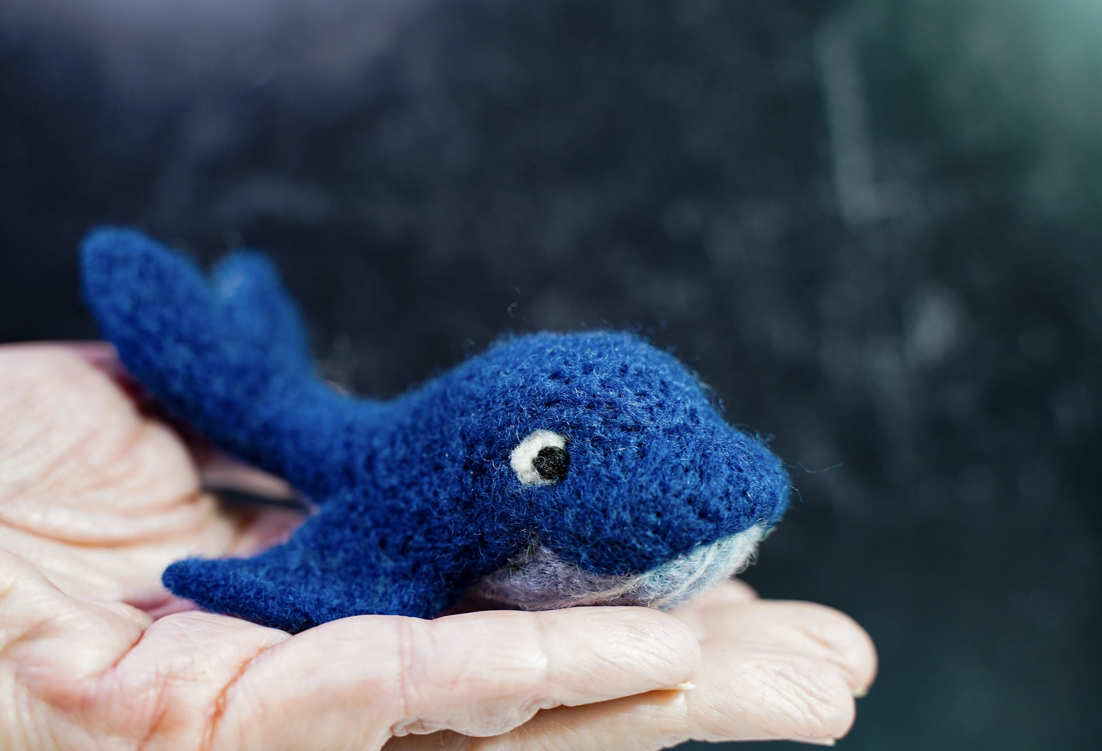 Screenshot 2026-02-24 at 2.42.25 pm.png