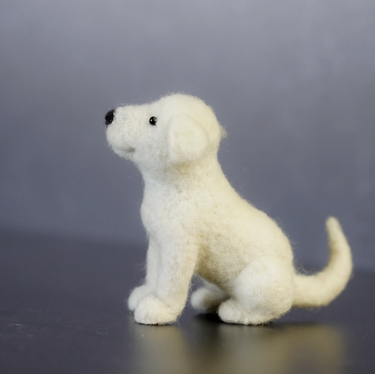 Screenshot 2026-02-24 at 2.35.17 pm.png