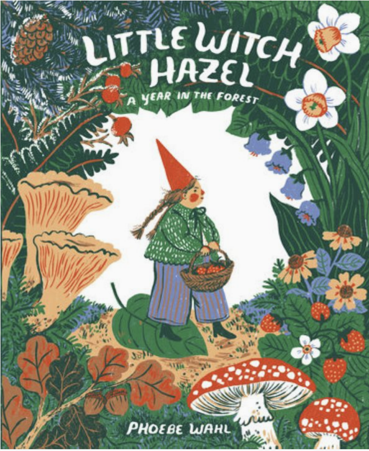 Little Witch Hazel by Phebe Wahl