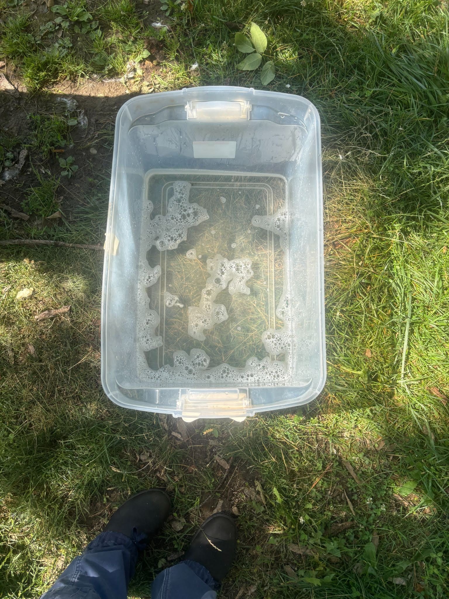 Bin full of clean water