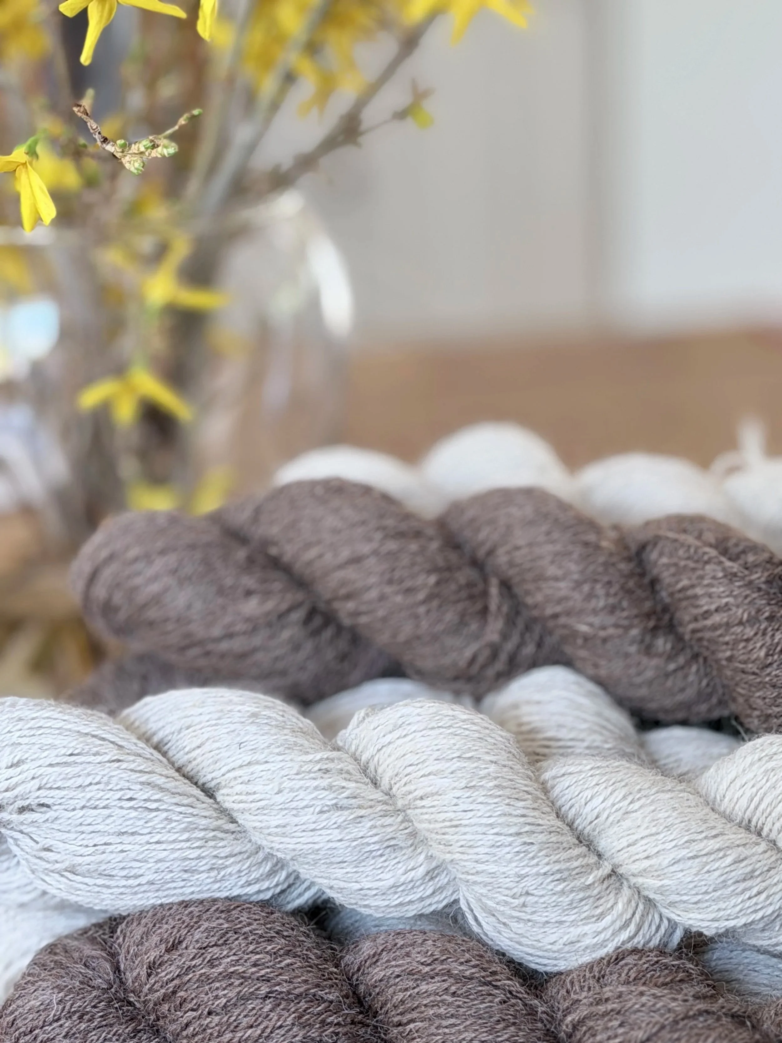 Spice Girls Alpaca Wool Sportweight Yarn