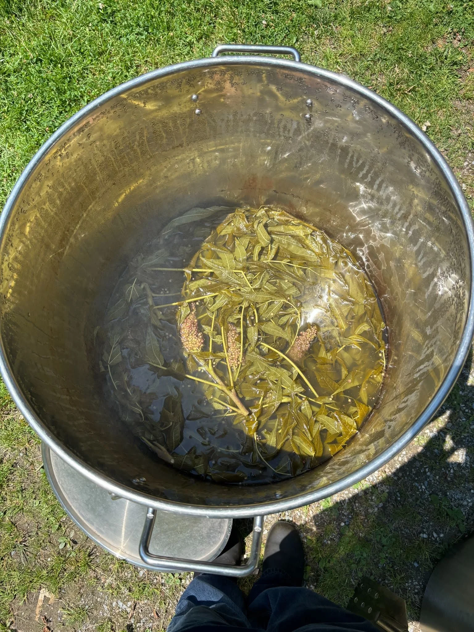 A large cooking pot with sumac leaves and flowers simmering in a few inches of water