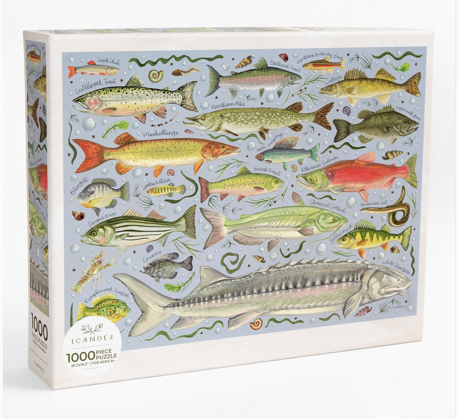 Screenshot 2026-04-07 at 8.40.18 am.png