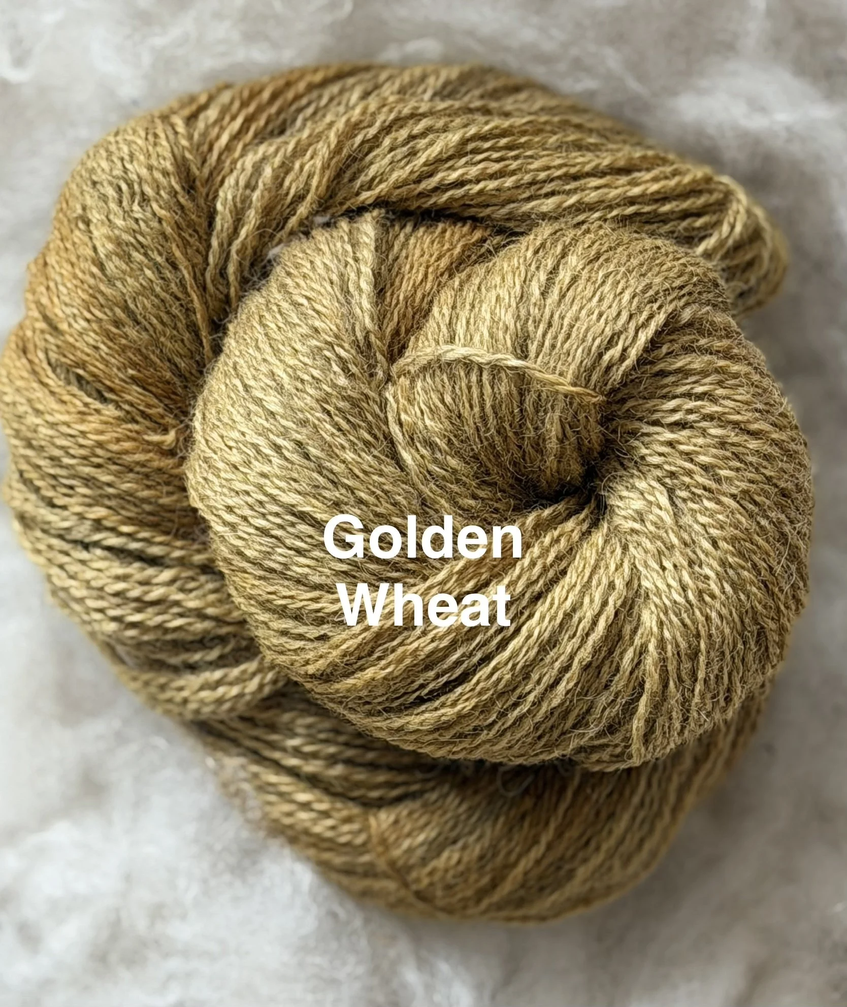 GoldenWheat.jpg