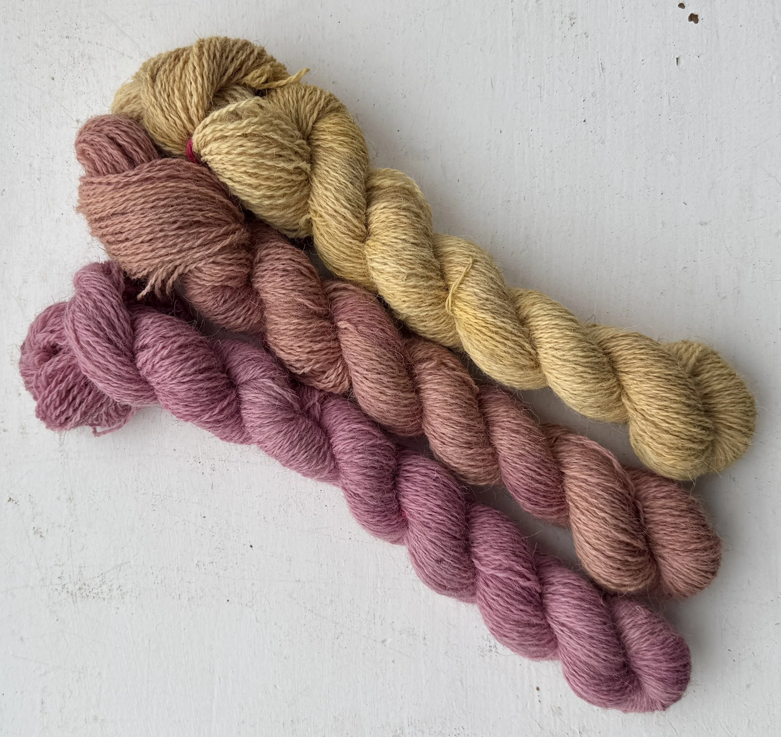 100% Shetland Wool Fingering Yarn Warm Shades