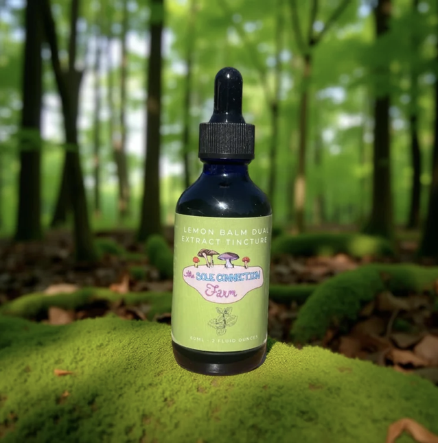 Screenshot 2025-12-10 at 4.40.37 pm.png