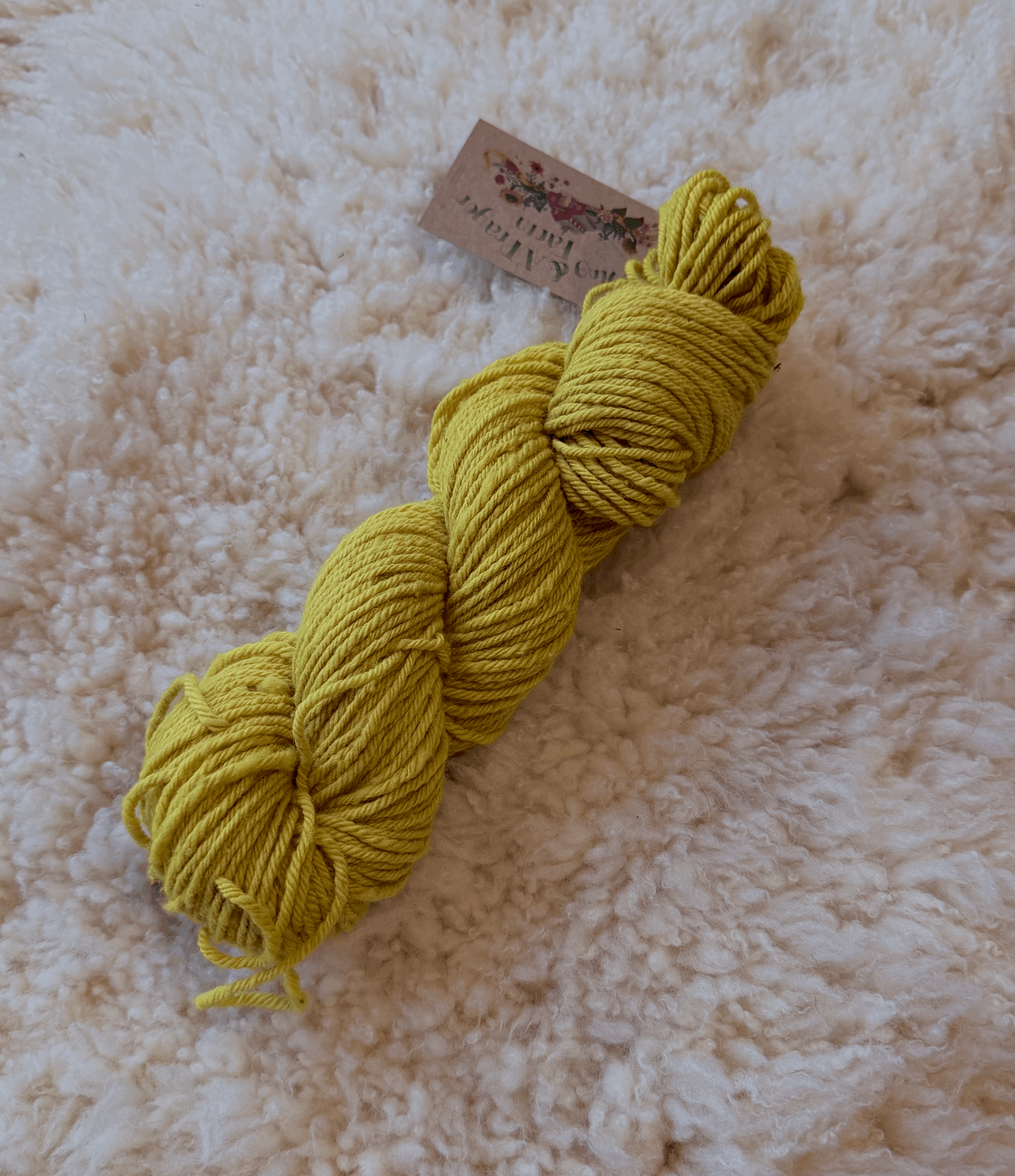 Polypay Aran Weight Goldenrod Dyed Yarn