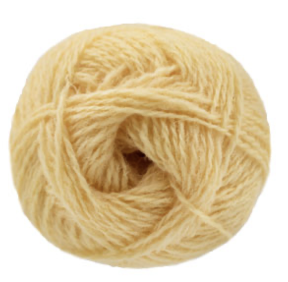 Image 6-26-26 at 7.14 pm.png
