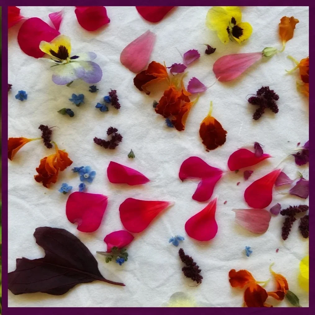 Farm+and+Home+Indigo+Ecoprinting.jpg