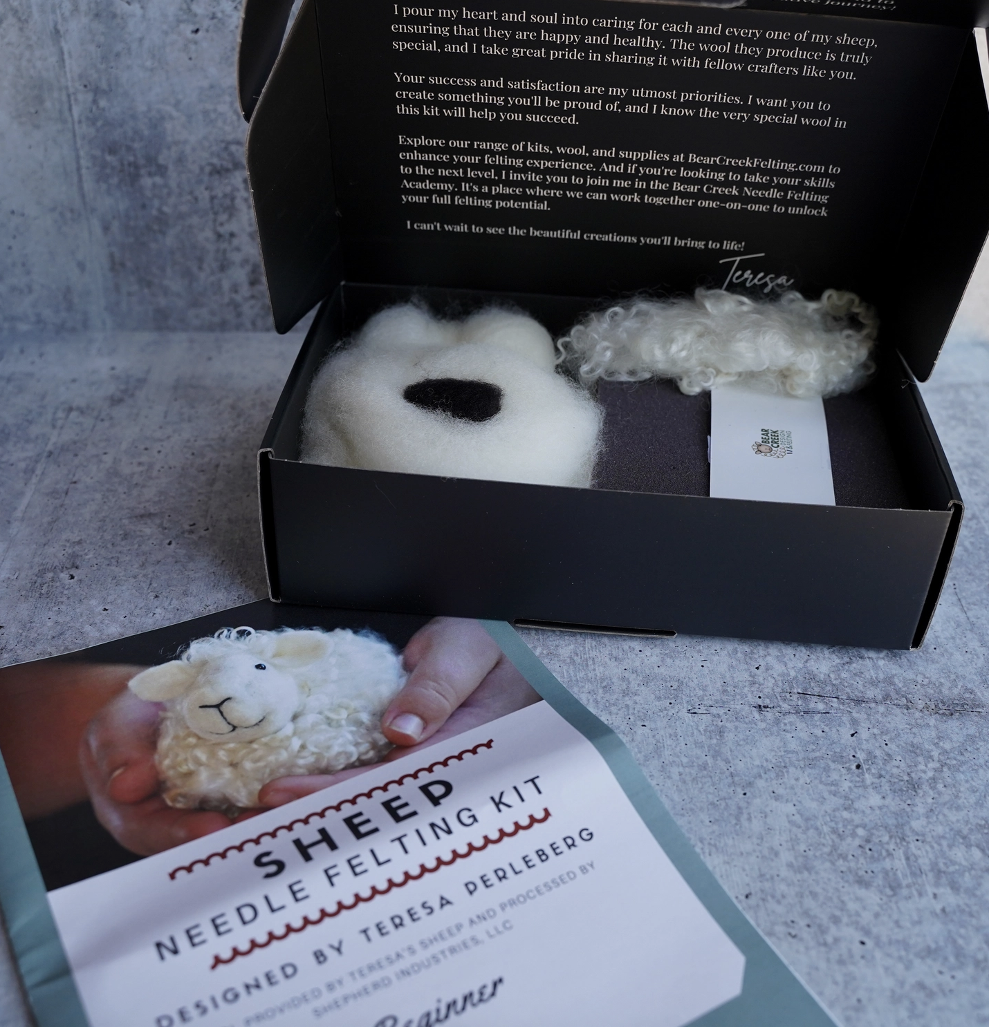 Screenshot 2026-02-24 at 2.39.04 pm.png