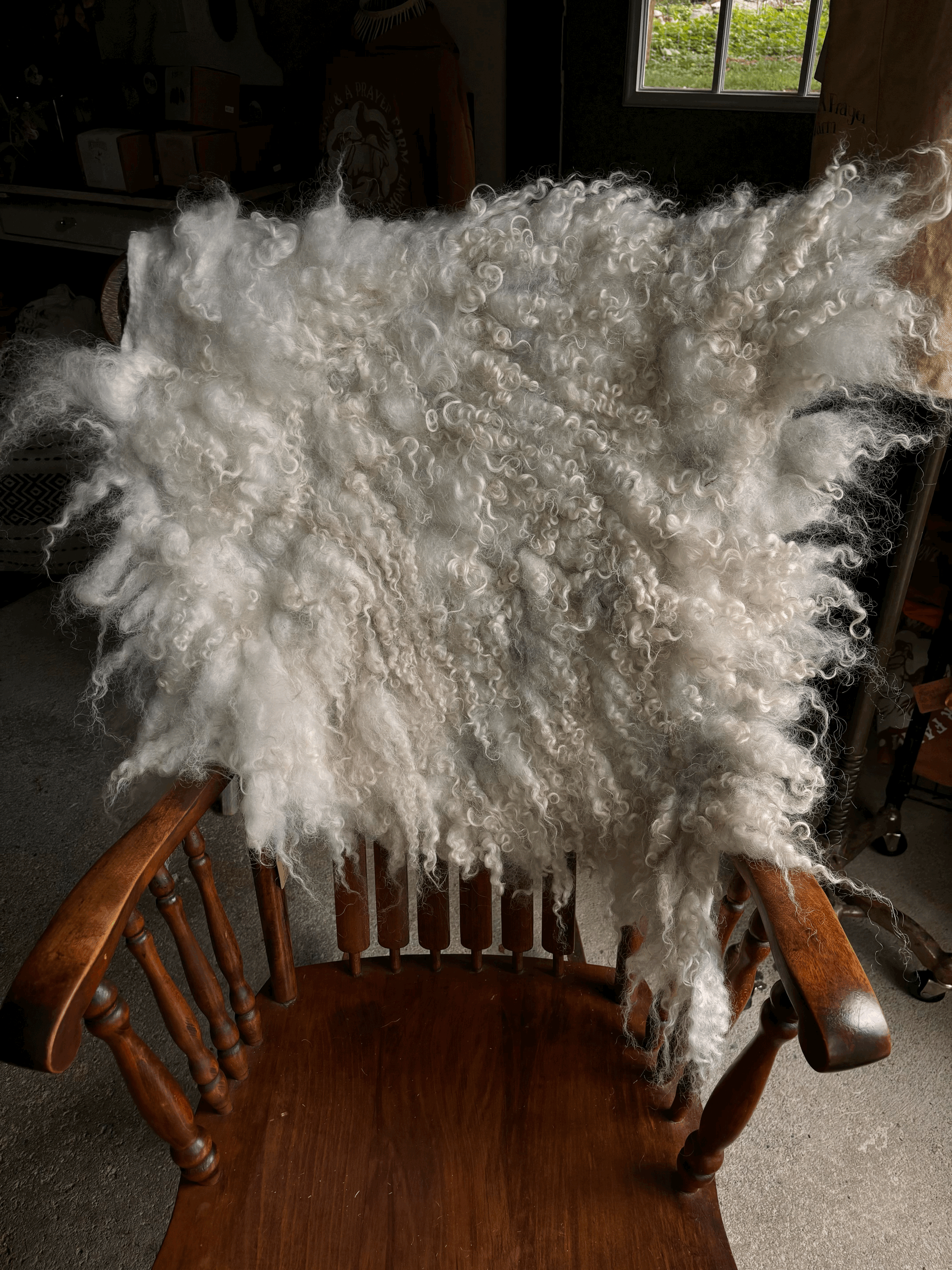 tempImage3a3RH4.gif