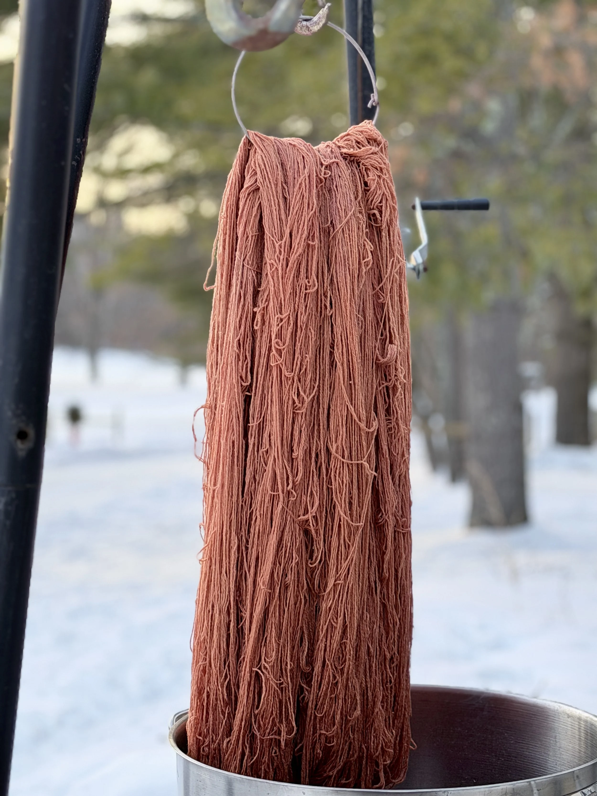 WarmCoralPolyPay Fingering.jpeg