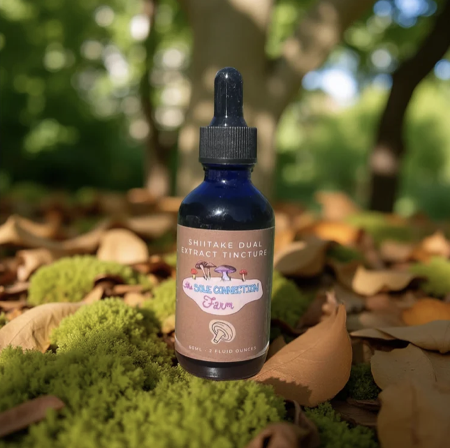 Screenshot 2025-12-10 at 4.41.41 pm.png