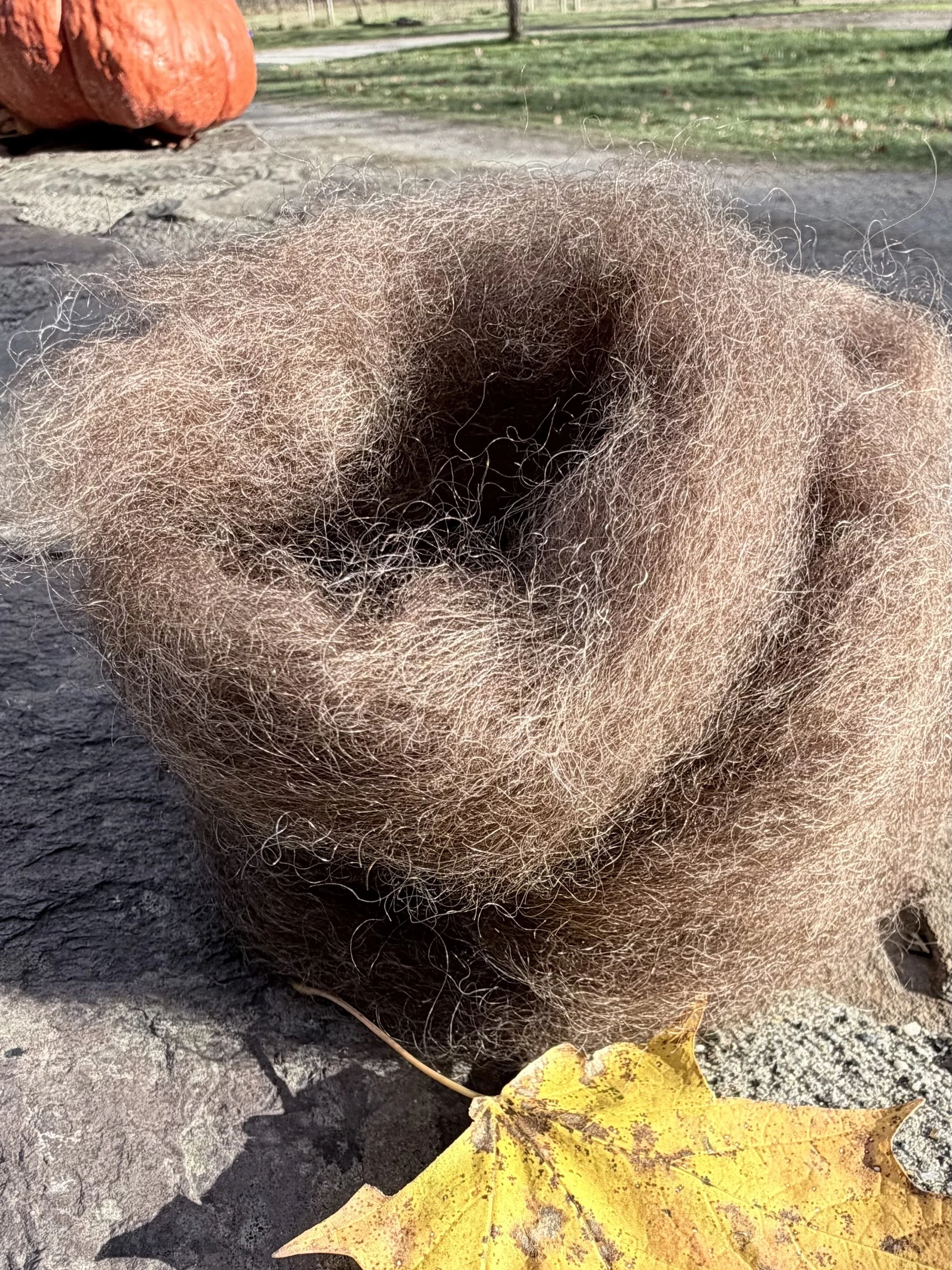 Wensleydale Roving2.jpg