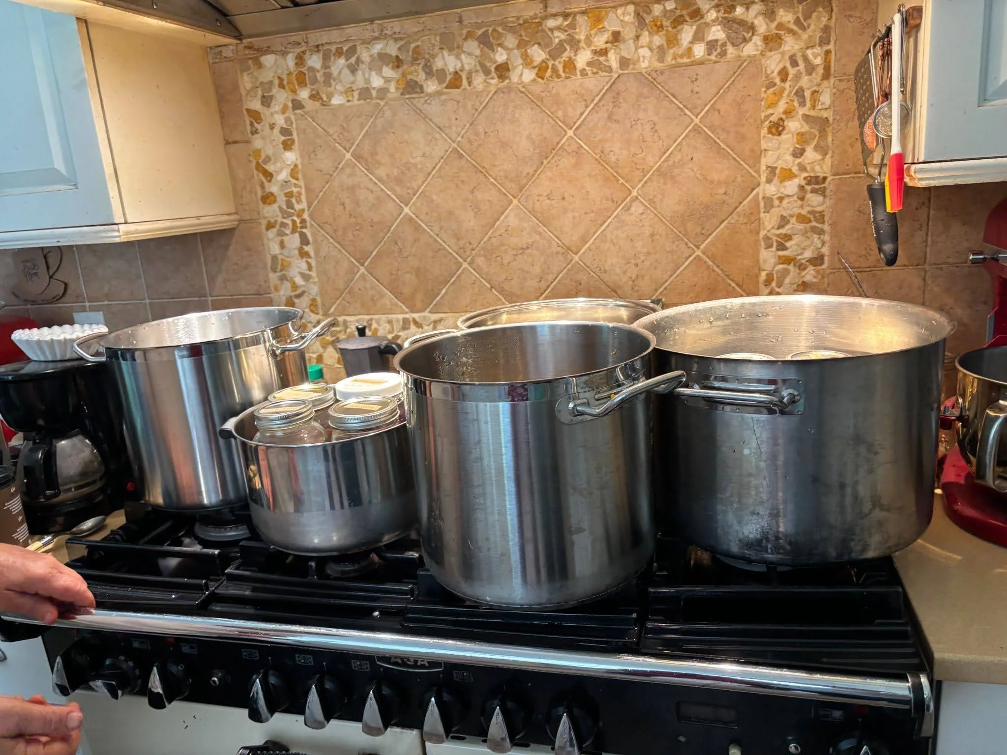 Kitchen stove with many large canning and cook pots full of dye jars