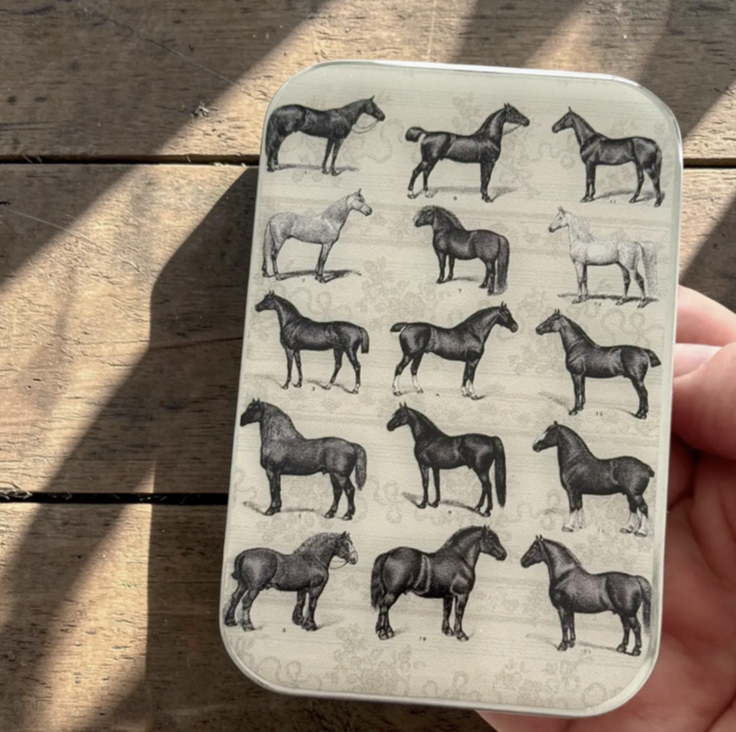 Screenshot 2026-03-13 at 11.48.49 am.png