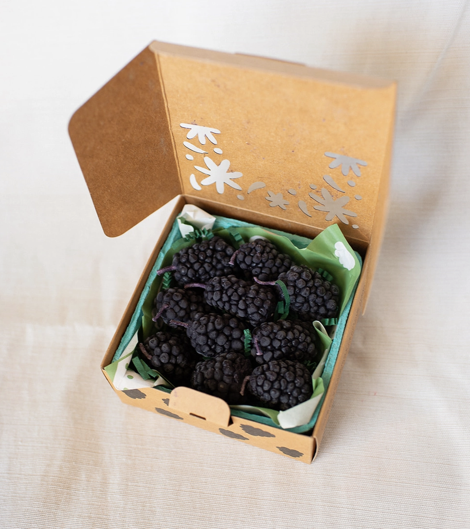 Screenshot 2026-03-13 at 11.14.14 am.png