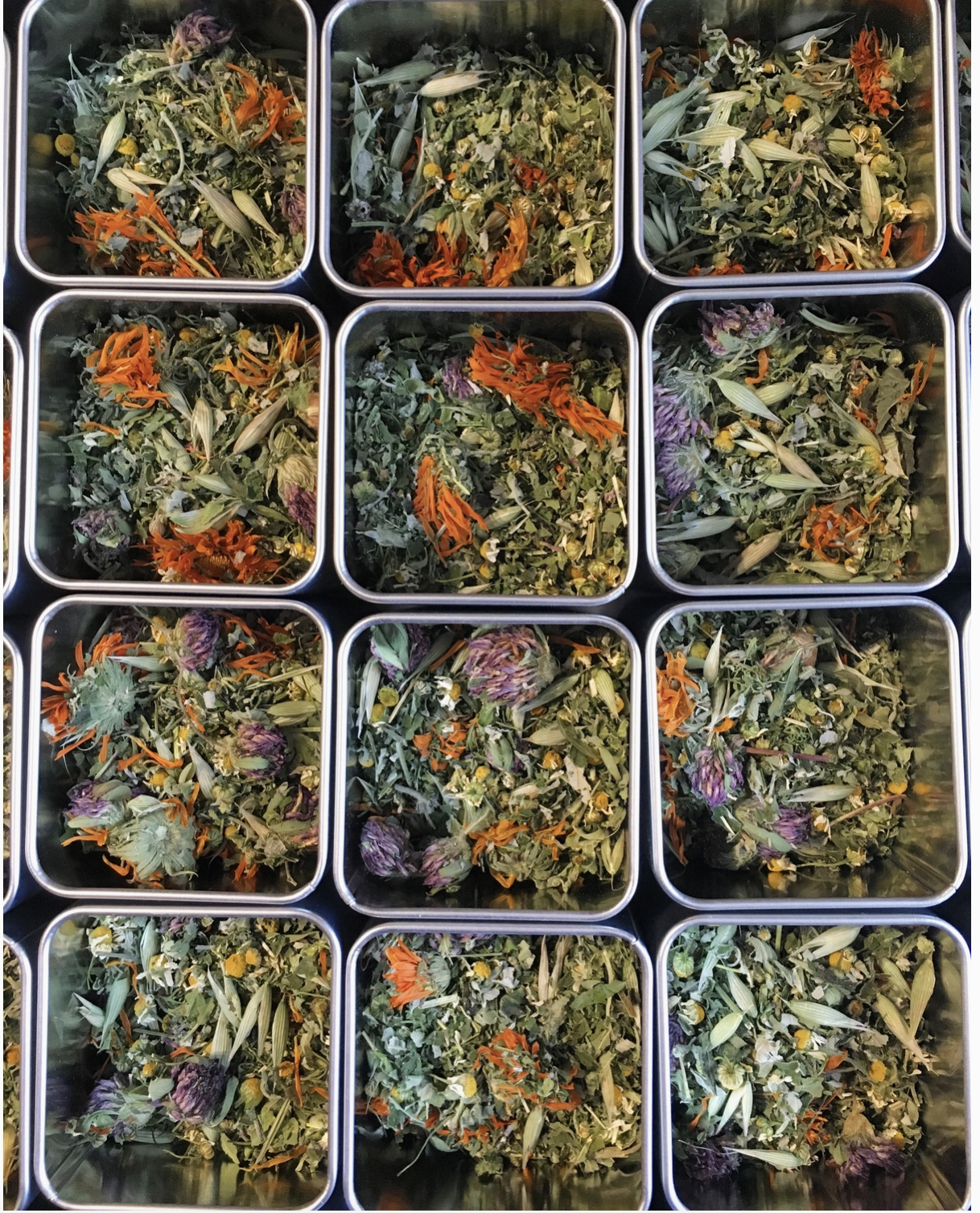 Screenshot 2025-12-10 at 9.26.40 pm.png