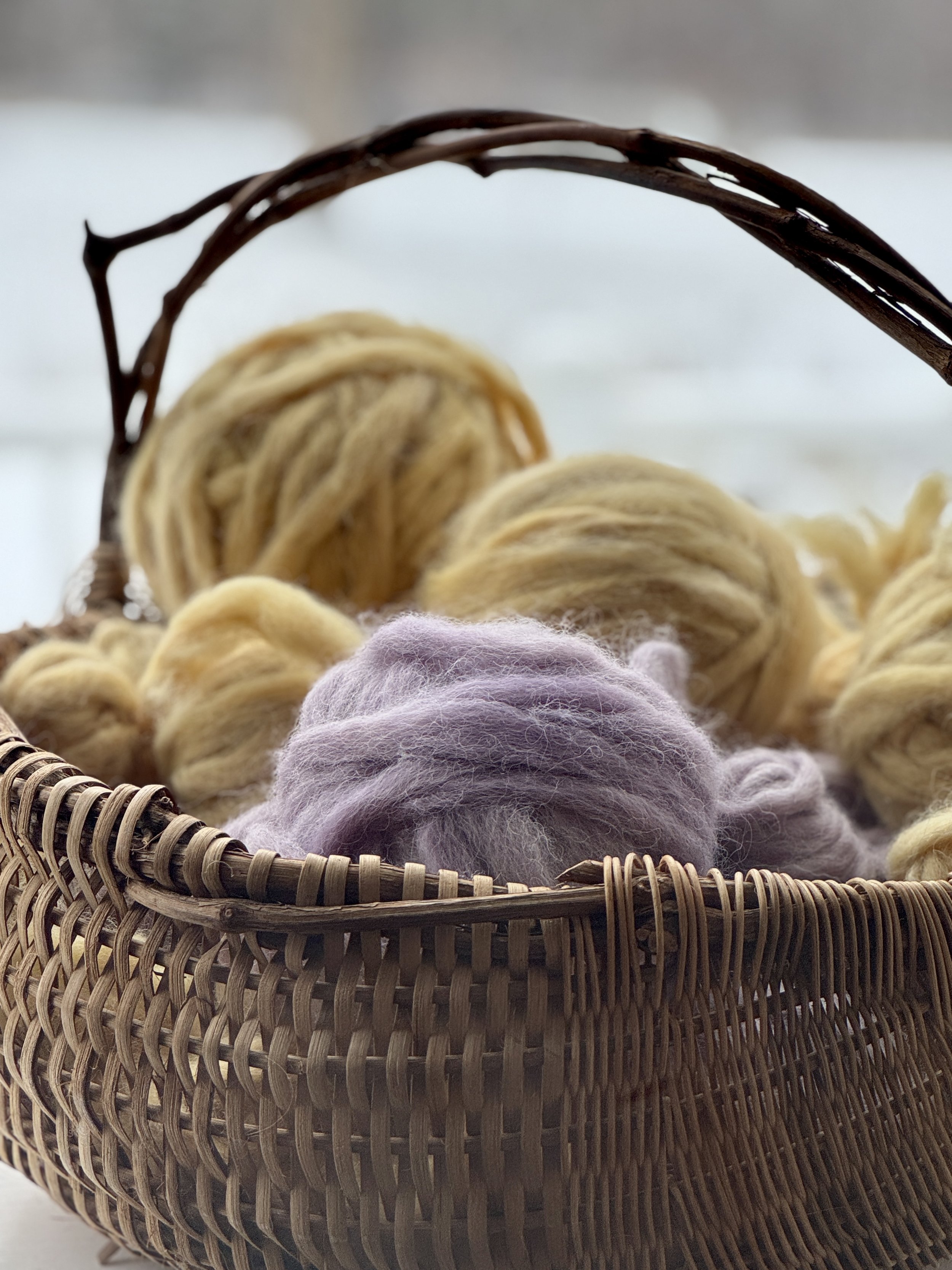 Natural Dyed Valais Blacknose Wool Roving