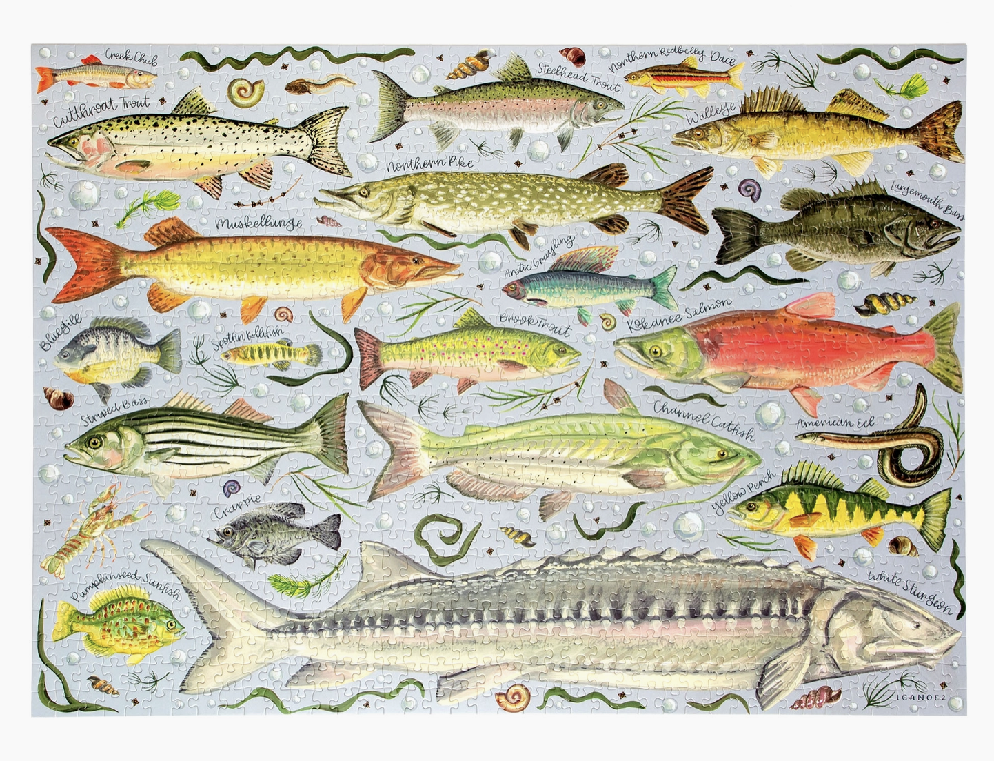 Screenshot 2026-04-07 at 8.40.43 am.png