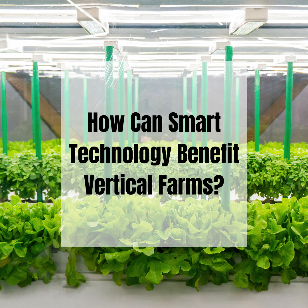 How Can Smart Technology Benefit Vertical Farms?